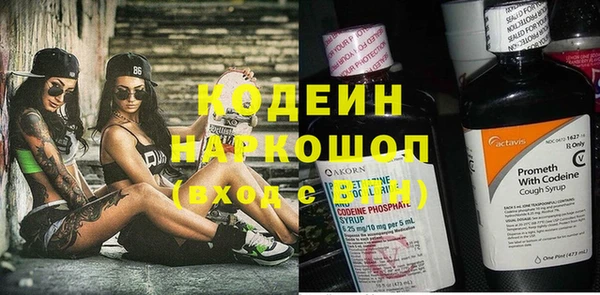 шишки Абинск