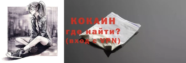 шишки Абинск