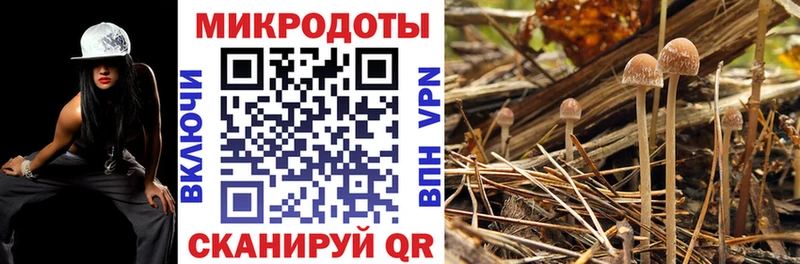 купить наркоту  Рассказово  Псилоцибиновые грибы Magic Shrooms 