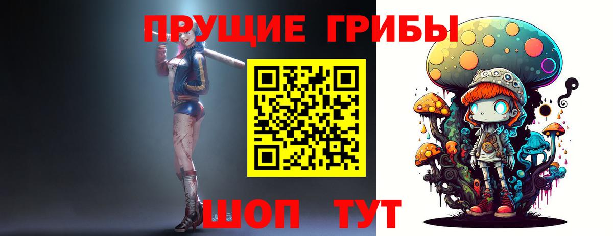 Псилоцибиновые грибы прущие грибы  Вход с VPN  Рассказово 